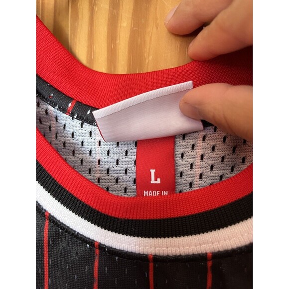 Mitchell & Ness NBA Swingman Bulls Dennis Rodman Alternate Jersey 95-96 Size L - Picture 11 of 12